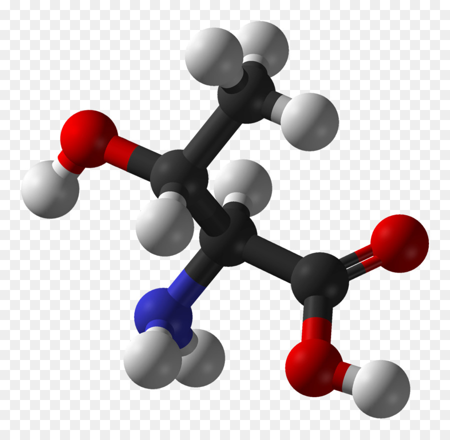 illustration of an amino acid